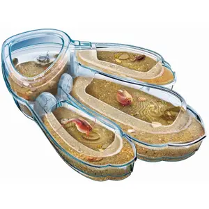 Jeux éducatifs Clementoni Triops image-6