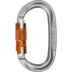Karabiner Klettern Climbing Technology Pillar Pro WG