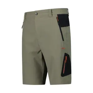 Bermudas CMP image-2