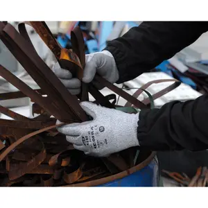 Gloves Cofra Kerf image-1