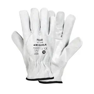 Gloves Cofra Pillar (x12) image-0