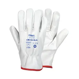 Gloves Cofra Corbel (x12) image-0
