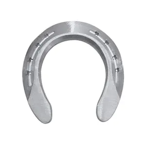 Fer à cheval vorne geschlossen mit flachen Nägeln und 3 Stiften Colleoni FAVWBBB