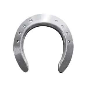 Aluminium-Hufeisen Colleoni