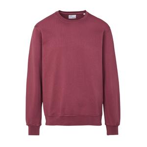 cs1005-dustyplum-sweater-colorful-standard-classic-organic-dusty-plum