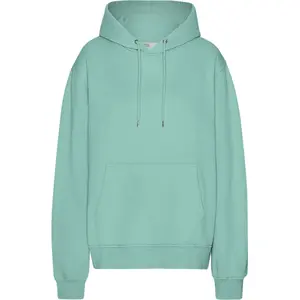 cs1006-seafoamgreen-sweatshirt-a-capuche-colorful-standard-classic-organic-seafoam-green-seafoam-green