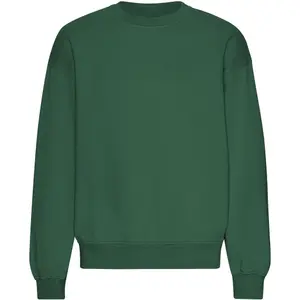 Oversized φούτερ Colorful Standard Emerald Green image-0