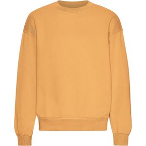 cs1012-sandstoneorange-sweatshirt-mit-rundhalsausschnitt-in-oversize-optik-colorful-standard-organic-sandstone-orange-sandstone-orange