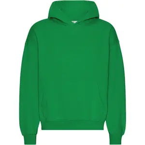cs1015-kellygreen-sweatshirt-a-capuche-oversize-colorful-standard-organic-kelly-green-kelly-green