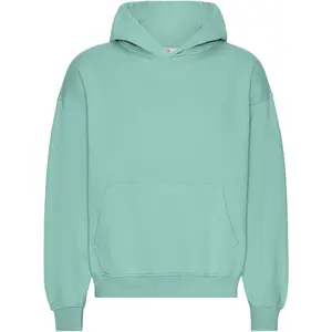 cs1015-seafoamgreen-sweatshirt-a-capuche-oversize-colorful-standard-organic-seafoam-green-seafoam-green