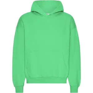 cs1015-springgreen-sweatshirt-a-capuche-oversize-colorful-standard-organic-spring-green-spring-green