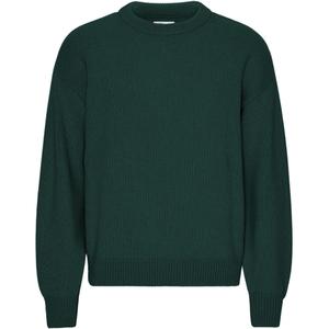 cs5088-emeraldgreen-oversize-pullover-mit-rundhalsausschnitt-colorful-standard-emerald-green-smaragdgrun