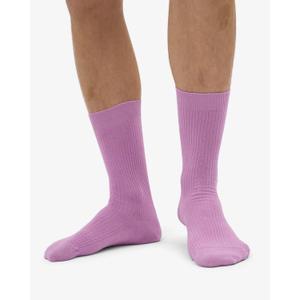 Socken Colorful Standard Classic Organic Cherry bBossom image-3