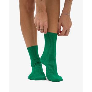 Socken Colorful Standard Classic Organic Kelly Green image-2