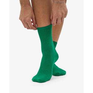 Socken Colorful Standard Classic Organic Kelly Green image-3