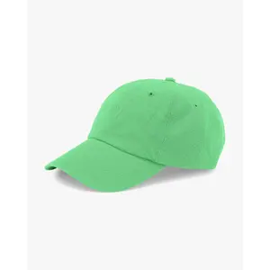 Cotton baseball cap Colorful Standard Organic Spring Green image-0
