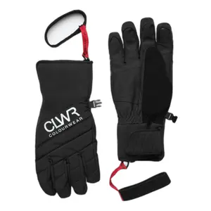 Snowboard gloves Colourwear Powder image-0