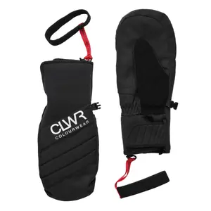 Rękawice snowboardowe Colourwear Powder image-0