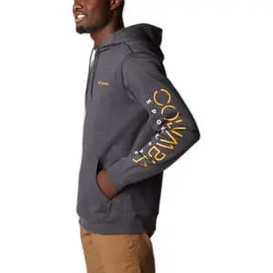 Sudadera con capucha Columbia CSC Basic Logo™ II image-2