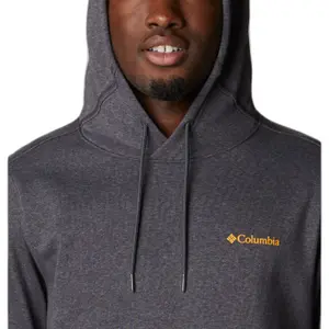 Sudadera con capucha Columbia CSC Basic Logo™ II image-3