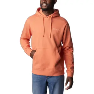 Camisola com capuz Columbia Graphic Viewmont™ II image-0