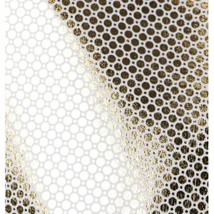 Waterproof sotshell jacket for women Columbia Canyon Meadows™ image-6