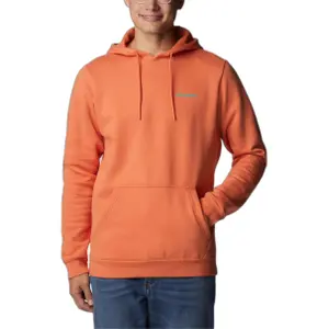Sudadera con capucha Columbia Graphic CSC™ image-0
