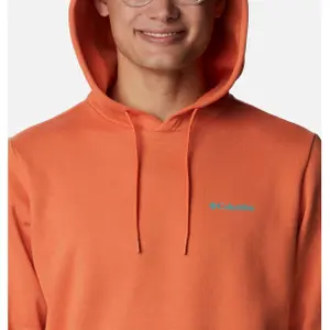 Sudadera con capucha Columbia Graphic CSC™ image-3