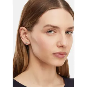 Silver-Plated Brass Butterfly Earrings for Women COMMA Fashion image-1