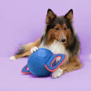 Pull toy for dogs Coockoo Power Pully image-1