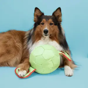 Pull toy for dogs Coockoo Power Pully image-2