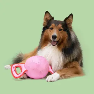 Pull toy for dogs Coockoo Power Pully image-3