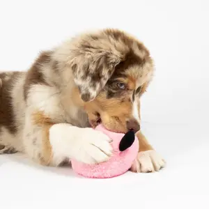 Dog toy Coockoo Bouncy Buddy image-2