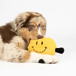 Dog toy Coockoo Bouncy Buddy image-1