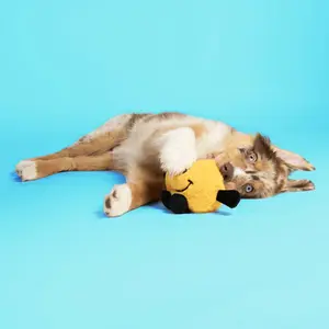 Dog toy Coockoo Bouncy Buddy image-2