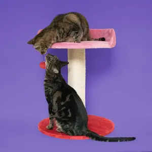 Kattenboom Coockoo Berry Breeze image-1