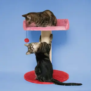 Kattenboom Coockoo Berry Breeze image-2