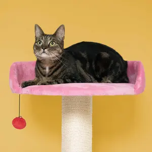 Kattenboom Coockoo Berry Breeze image-3