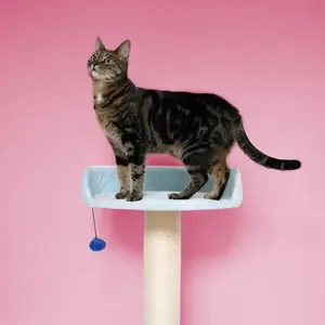 Kattenboom Coockoo Berry Breeze image-1