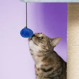 Kattenboom Coockoo Berry Breeze image-3