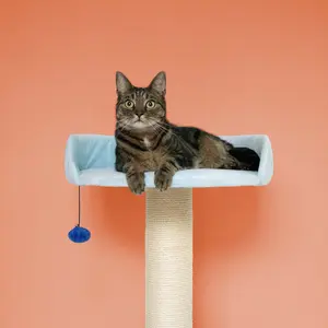 Kattenboom Coockoo Berry Breeze image-2