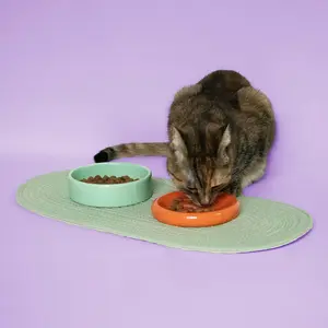 Ταΐστρες Coockoo Funky Feeding image-2