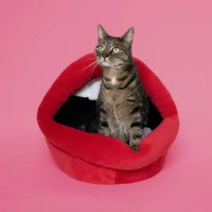 Cat shelter Coockoo Meow Mouth image-2