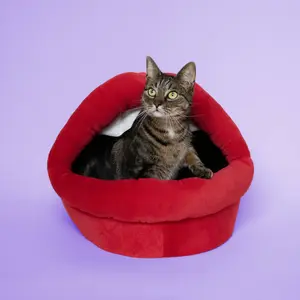 Cat shelter Coockoo Meow Mouth image-3