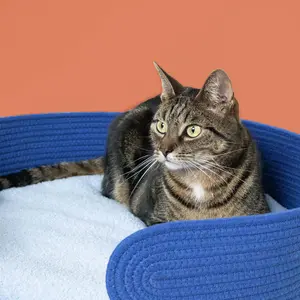Καλάθι για γάτα Coockoo Lazy Lounge image-2