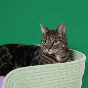Καλάθι για γάτα Coockoo Lazy Lounge image-3