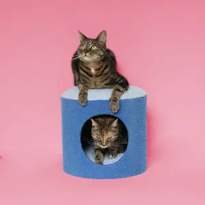 Cat shelter Coockoo Happy House image-1