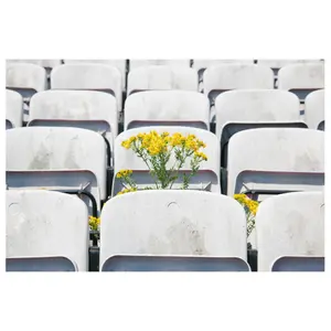 dalymount park t-shirt Copa Glory x Copa image-1