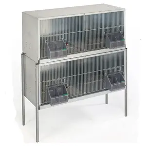 Taube Käfig 2 Etagen 4 Abteilungen Copele image-0