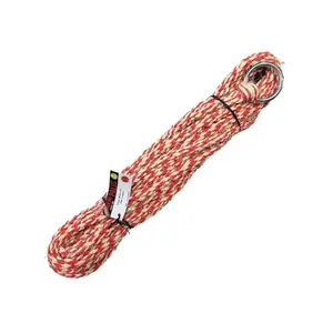 Longe d'élevage avec anneau Corderie Palus 10 m